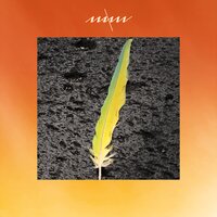 Irrlicht - Maxim