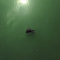 Dead Valentine - BLVKES