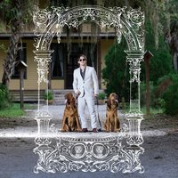 Class Action Force - Pet Symmetry