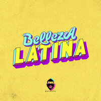 Belleza Latina - Dalmata