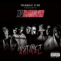 Monte à bord - XV, Xvbarbar