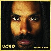Ruff Inna Town - Lion D