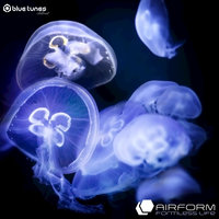 Optical Illusions - Airform