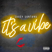 Birkin (No Hook) - Saucy Santana