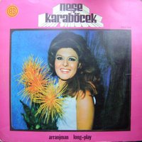 Kıskanırım Seni Ben - Neşe Karaböcek