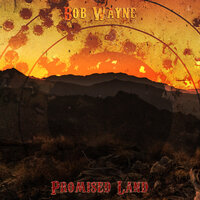 Bob Wayne