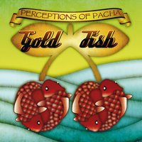 Cruising Through - GoldFish