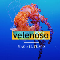 Velenosa - Mao, Il Tusco