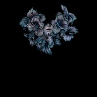 The Sound of Us - A Lot Like Birds