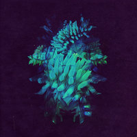 Something Wonderful - Fakear, Ana Zimmer