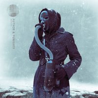 Ode to Bedlam - Author & Punisher