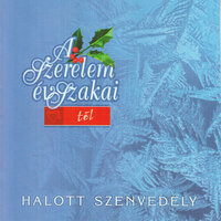 Vasárnap délután - Zoran