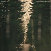 Quick to Run - Front Porch Step