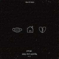 dos mil veinte - David Rees