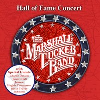 In My Own Way - Marshall Tucker Band