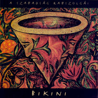 Vidám a helyzet - Bikini