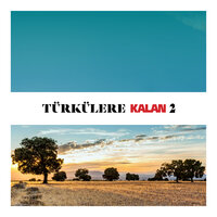 Al Yazmanın Oyası - Ayfer Vardar