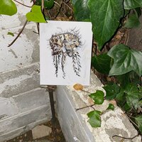 fruit2 / fleas - 93feetofsmoke