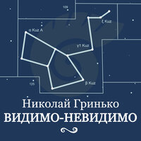 Видимо-Невидимо - Николай Гринько