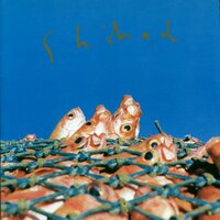 It's A Go - Shihad