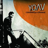 Where Is My Mind? - Yoav