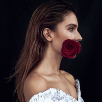mimoza