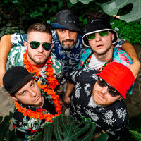zolki band