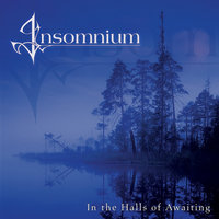 The Bitter End - Insomnium