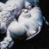 Arisen My Senses - Björk, Arca, Kelly Lee Owens