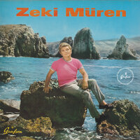 Unutturamaz Seni Hiç Bir Şey - Zeki Müren