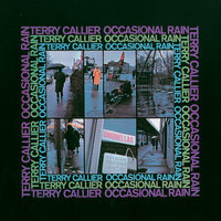 Do You Finally Need A Friend - Terry Callier