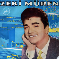 Anladım Sevmeyeceksin - Zeki Müren