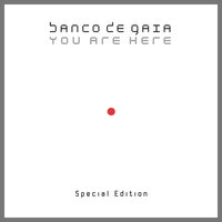 Gray over Gray - Banco De Gaia