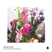 Not Like This - Wicca Phase Springs Eternal