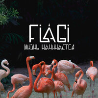 Куда летим? - Flagi