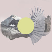 PAssionate Losers - The Mountains