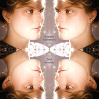 Numbers And Names - Olof Arnalds