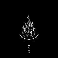 BONES - Limbs