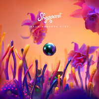 Lazy Love - Sheppard