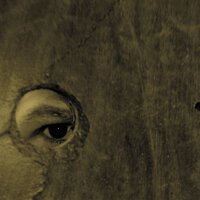Poetic License - Boom Bip, Doseone