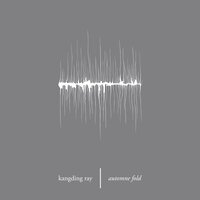 World Within Words - Kangding Ray