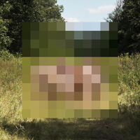 You In This Light - The Hotelier