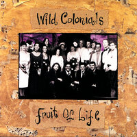 Philadelphia Story - Wild Colonials