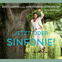 Nicht in meinem Namen - Bodo Wartke, WDR Funkhausorchester