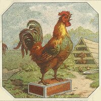 El Gran Combo
