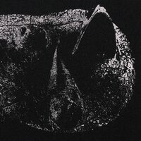 Demon Head