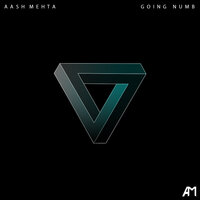 Going Numb - Aash Mehta