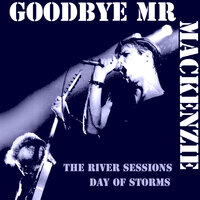 Pleasure Search - Goodbye Mr MacKenzie