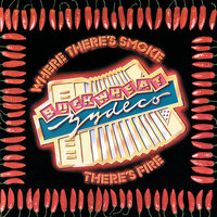 What You Gonna Do - Buckwheat Zydeco