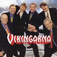 Var det nånting som jag sa - Vikingarna